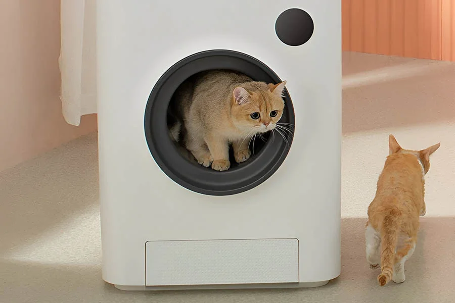 odor free litter box